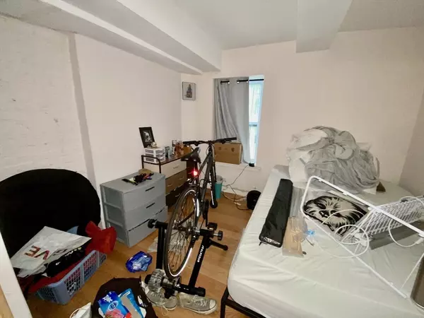 Boston, MA 02118,204 Northampton Street #1