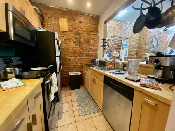 Boston, MA 02118,204 Northampton Street #1