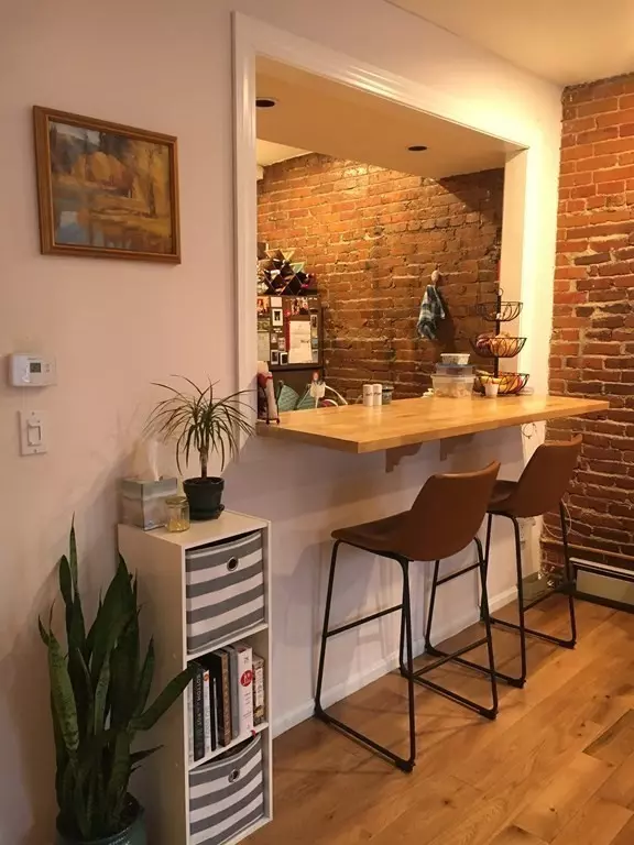 Boston, MA 02118,204 Northampton Street #3