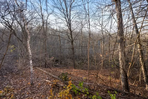 Holyoke, MA 01040,89 Jarvis Ave