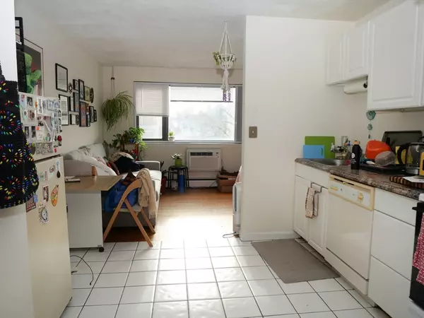 Boston, MA 02215,1027 Commonwelath Ave #10