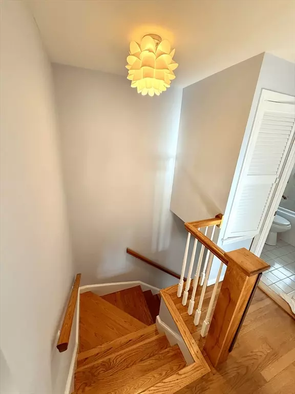 Waltham, MA 02451,28 College Farm Rd #2