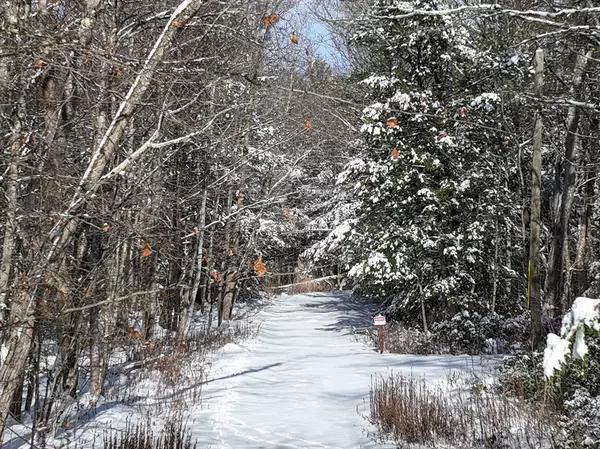 Blandford, MA 01008,0 Island Acres Rd