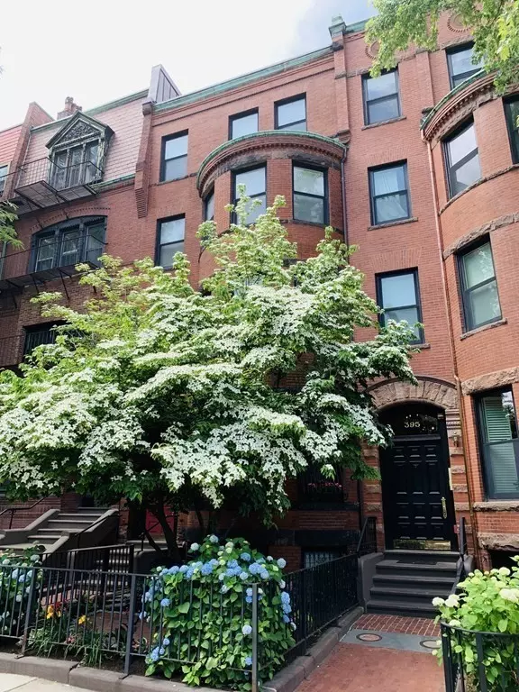 Boston, MA 02115,395 Marlborough St. #8