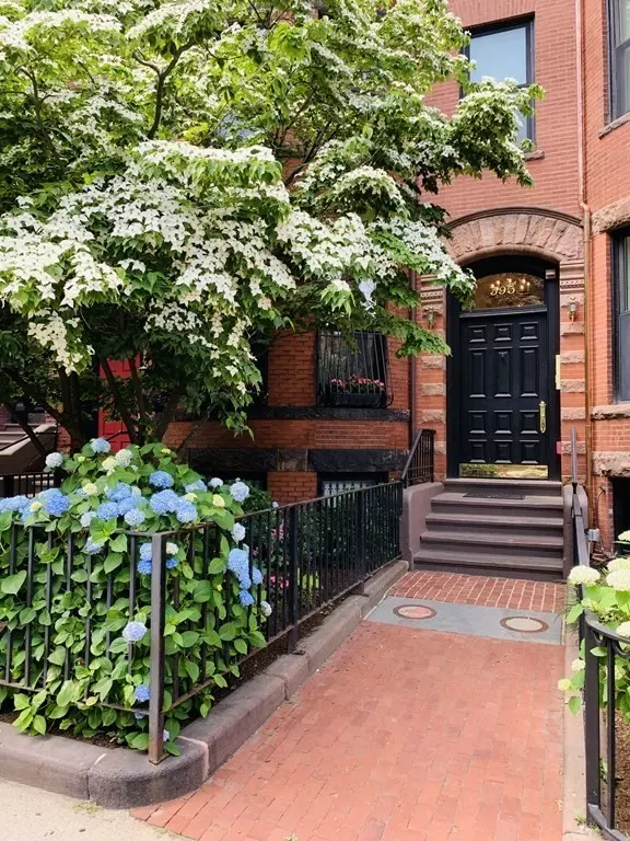 Boston, MA 02115,395 Marlborough St. #8