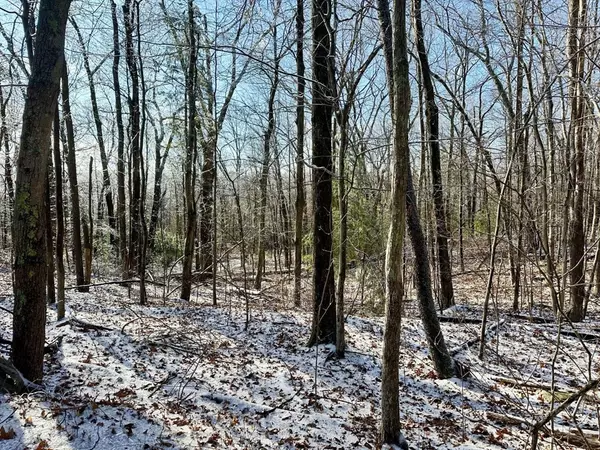 99 Burbank Road Lot 182, Sutton, MA 01590