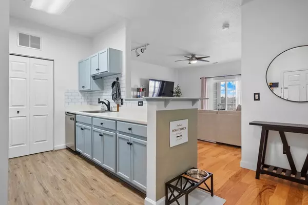 Methuen, MA 01844,21 Hampshire #412