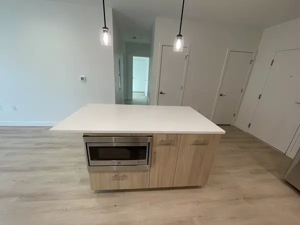 Newton, MA 02461,1151 Walnut St #306