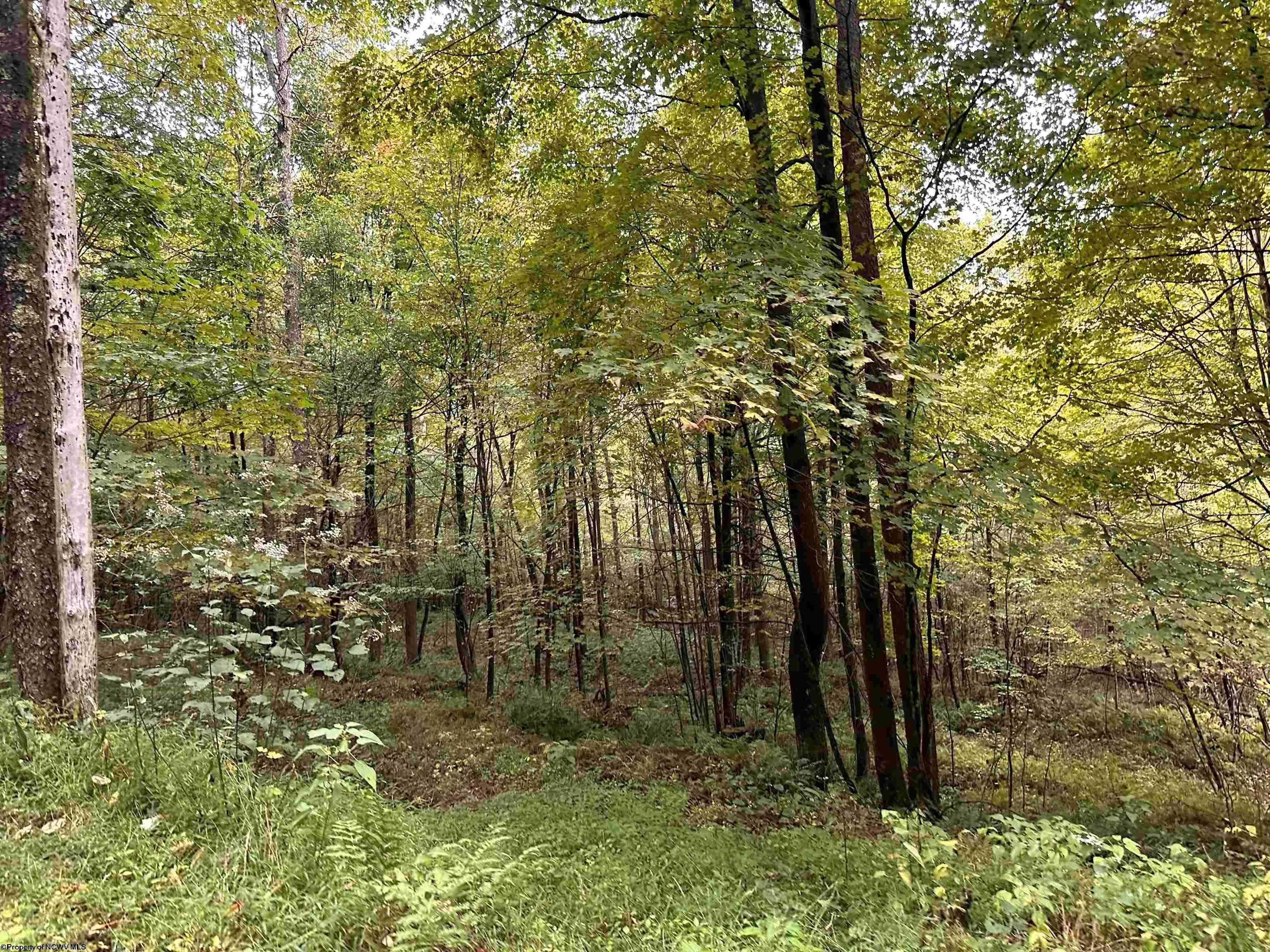 Masontown, WV 26542,Lot 3 Deckers Trail