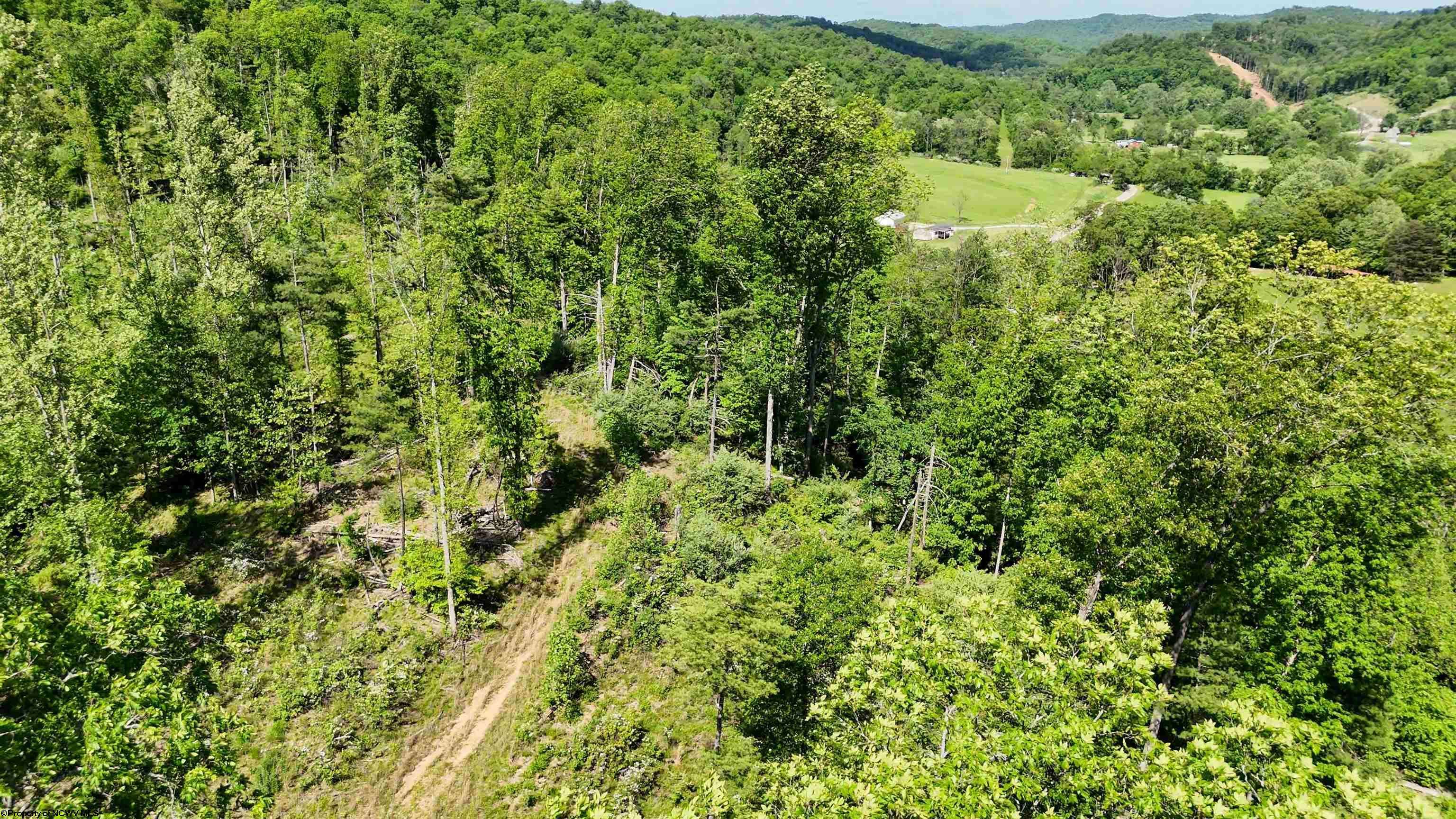 West Union, WV 26456,50 Wine