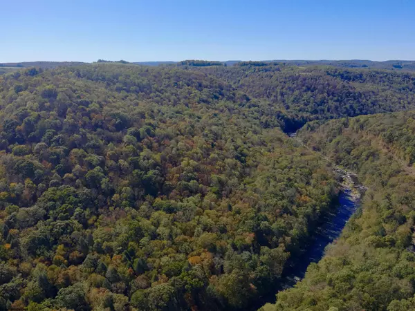 Albright, WV 26519,Lot 30 Wild Flower