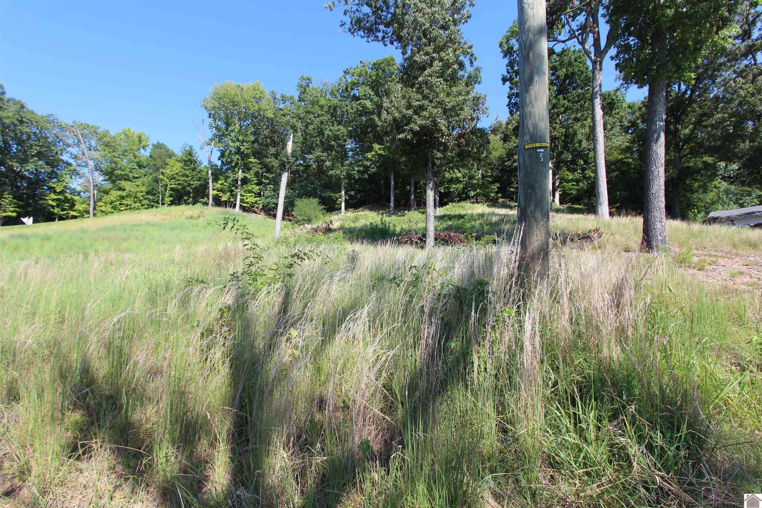 LOT 13 HOLLY LANE, Kuttawa, KY 42055