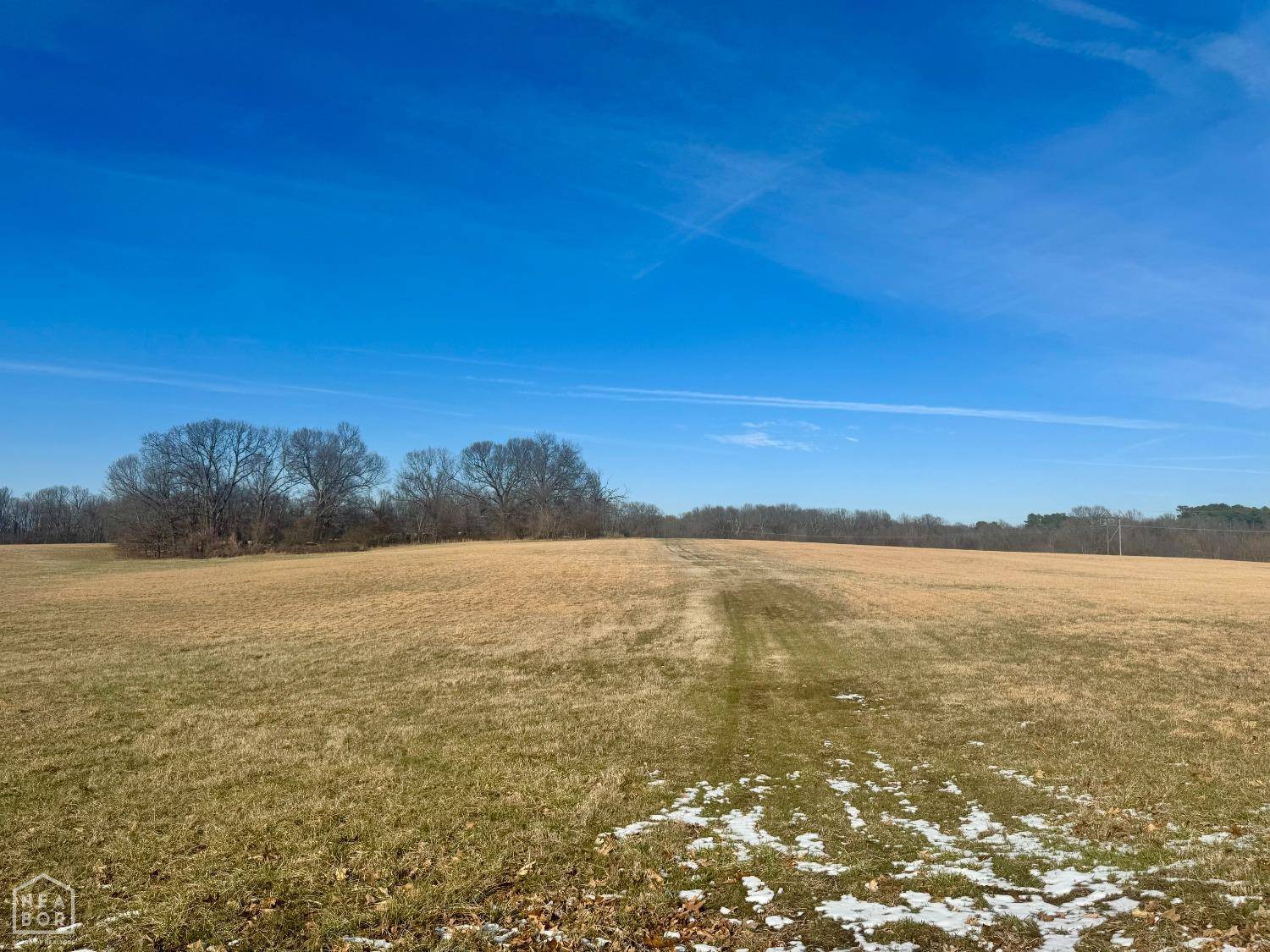23 Winchester, Jonesboro, AR 72401