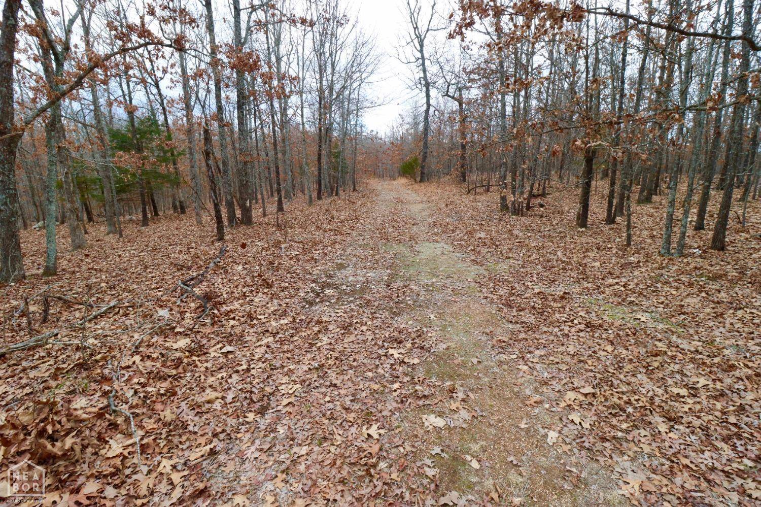Ravenden Spring, AR 72460,0 Nubbin Ridge Rd.