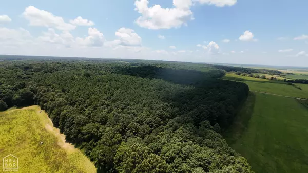 Pollard, AR 72456,1 CR 331 Hwy 62