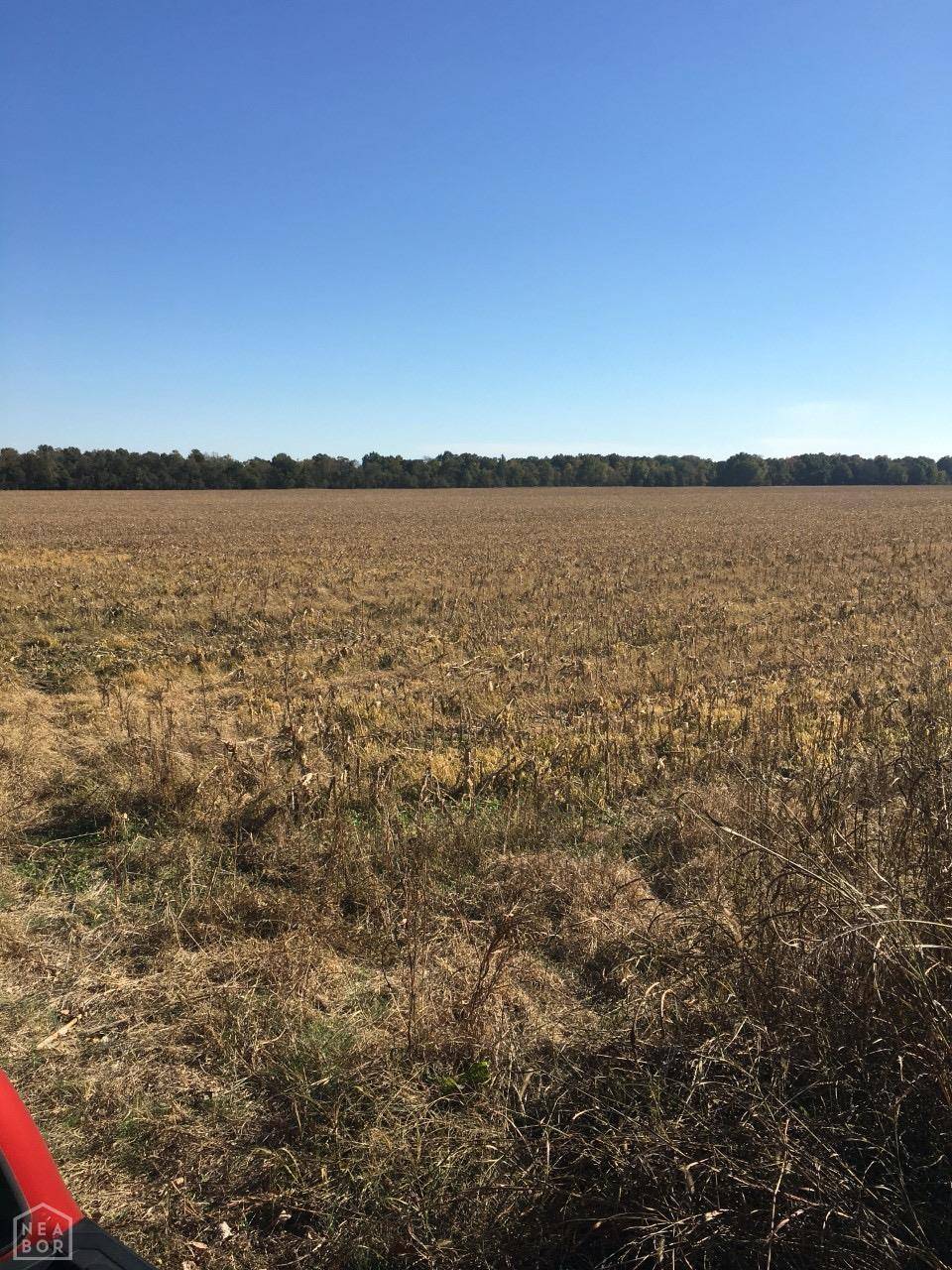 Jonesboro, AR 72401,1 County Road 342