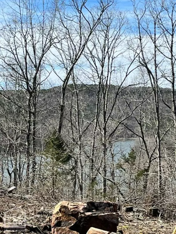 Higden, AR 72067,915 Canyon Rd