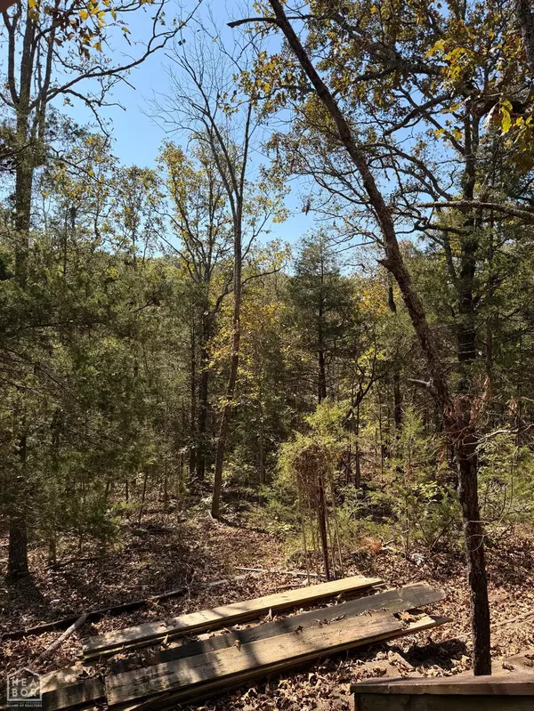 Hardy, AR 72542,119 Edna Avenue