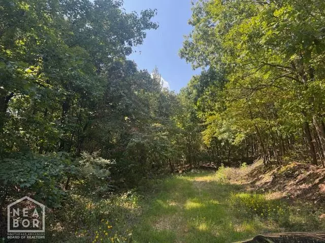 Paragould, AR 72450,74250 Greene 742 Road