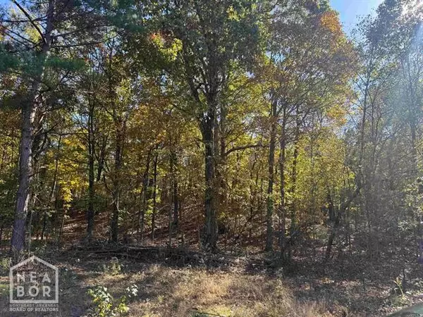 Paragould, AR 72450,10 Greene 756 Road