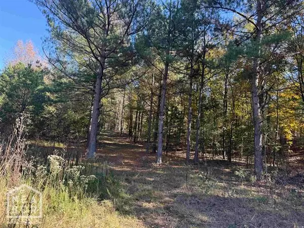 10 Greene 756 Road, Paragould, AR 72450