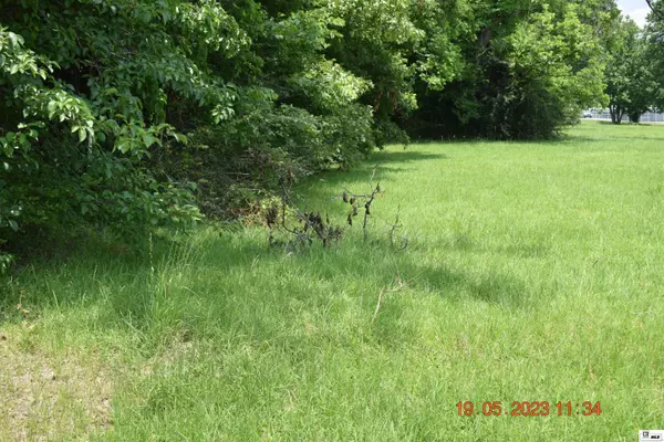 Monroe, LA 71203,0 OLD STERLINGTON ROAD