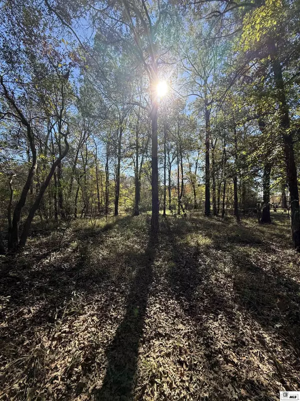 0 lot 3 PLATTS LANDING, Bernice, LA 71222