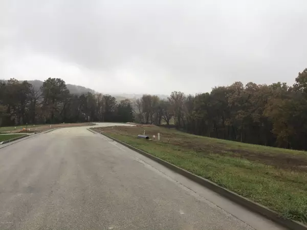 Jefferson City, MO 65109,807 DICKERSON CREEK DRIVE