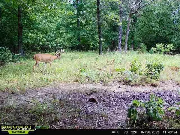 LOT 10 COPPERSTONE ROAD, Camdenton, MO 65020