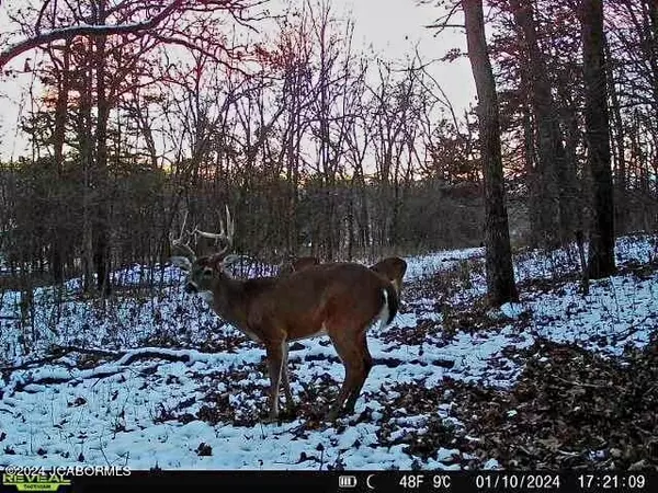 Fortuna, MO 65034,TBD MANITO LAKE ROAD