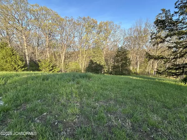 Holts Summit, MO 65043,LOT 1 BIRDIE HILL ROAD