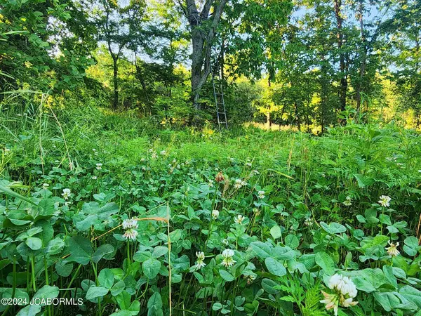 TBD BEACON ROAD, Eldon, MO 65026