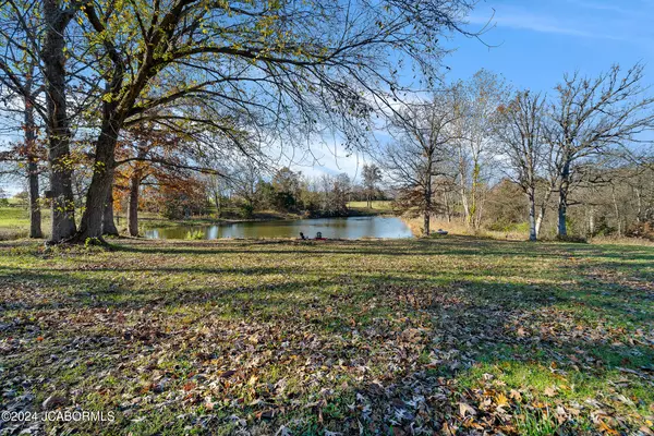 Kingdom City, MO 65262,3047 COUNTY RD 156