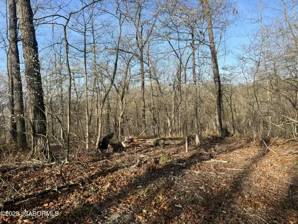 Barnett, MO 65011,TBD PAUL ROAD