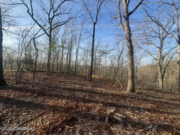 Barnett, MO 65011,TBD PAUL ROAD