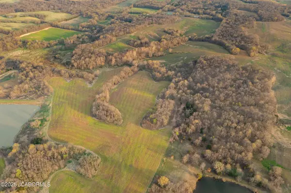 Anabel, MO 63431,TBD OSTRICH PL