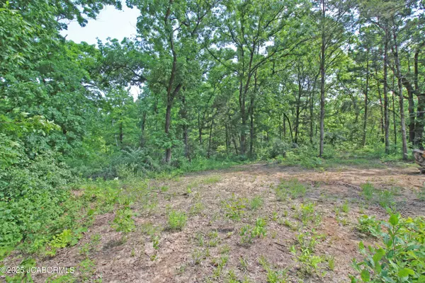 Tebbetts, MO 65080,4801 CO RD 480