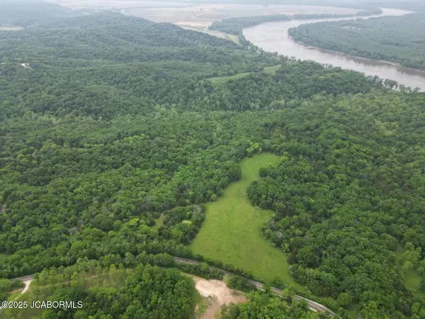 TBD E CEDAR TREE LANE, Hartsburg, MO 65039