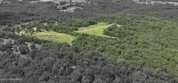 Holts Summit, MO 65043,423 VAN HORN ROAD