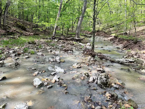 Montgomery City, MO 63361,3532 COUNTY ROAD 1031