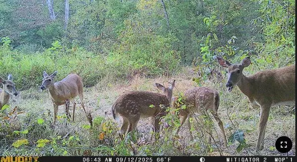 Bland, MO 65014,4718 OAK FOREST ROAD