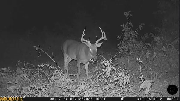 Bland, MO 65014,4718 OAK FOREST ROAD