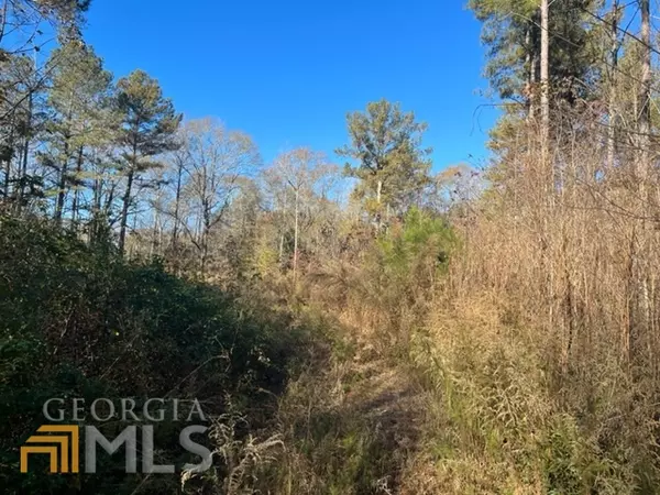 Roopville, GA 30170,0 Hwy 5 (4.5 acres) SW