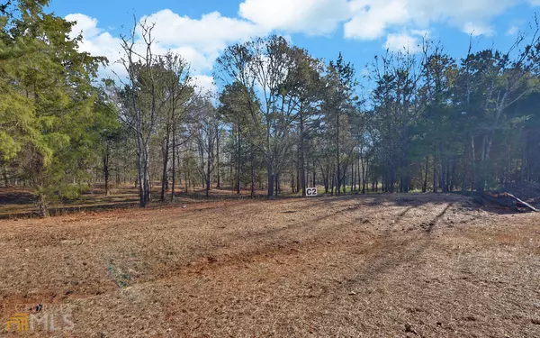 Hartwell, GA 30643,0 Carlota WAY #LOT C2