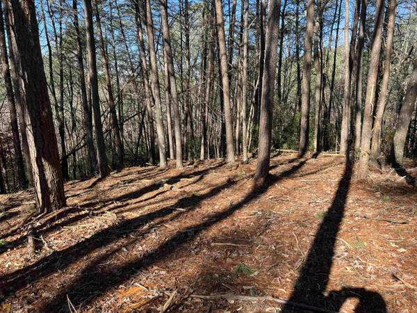 LOT 14 Mineral Springs RD, Ball Ground, GA 30107