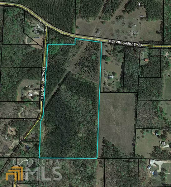 440 Melvin Harris RD #28.78 ACRES, Manchester, GA 31816