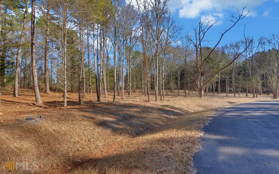 0 Nylah LN #LOT E3, Hartwell, GA 30643