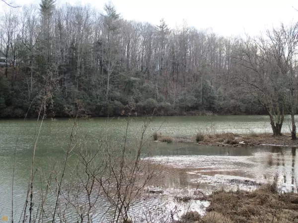 Clarkesville, GA 30523,LOT 4 Stewart Cove RD