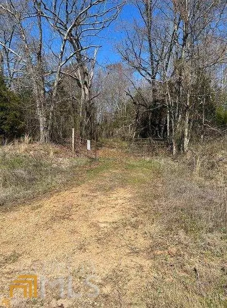 Homer, GA 30547,0 Christmas Tree Road, Lot 8