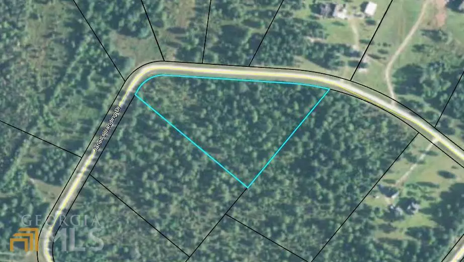 LOT 34 Black River, Folkston, GA 31537